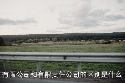 有限公司和有限責(zé)任公司的區(qū)別是什么