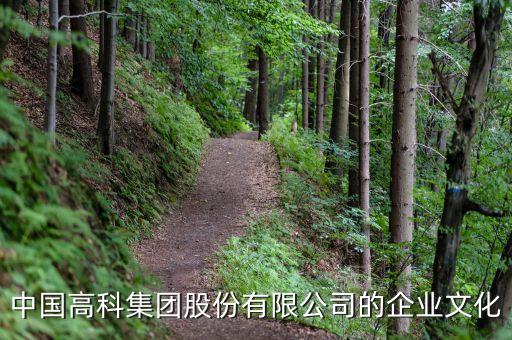 中國高科股份，中國高科600730今天漲停了該如何操作