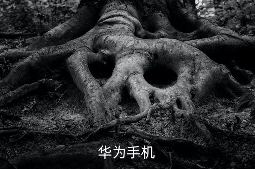 華為手機(jī)