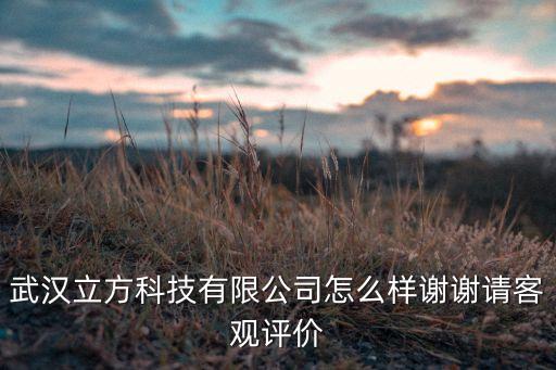 武漢立方科技有限公司怎么樣謝謝請(qǐng)客觀評(píng)價(jià)