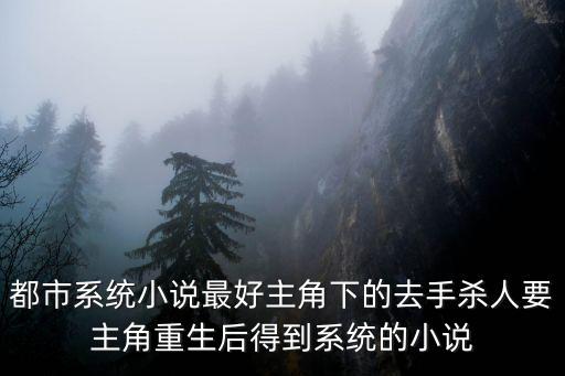 都市系統(tǒng)小說最好主角下的去手殺人要主角重生后得到系統(tǒng)的小說