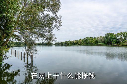 普通人網(wǎng)絡(luò)上干什么賺錢，在網(wǎng)上做什么可以賺錢
