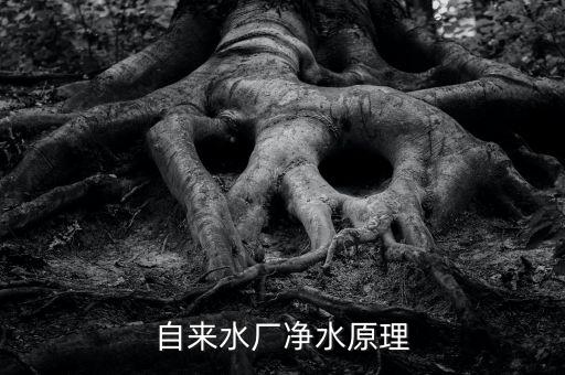 自來水廠一體化凈水設(shè)備原理，純凈水生產(chǎn)設(shè)備的工作原理