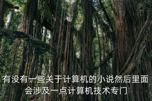 有沒有一些關(guān)于計算機的小說然后里面會涉及一點計算機技術(shù)專門