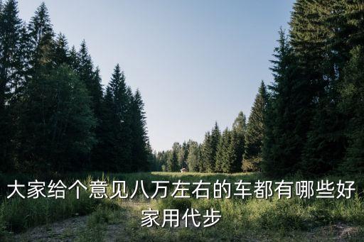 大家給個意見八萬左右的車都有哪些好家用代步