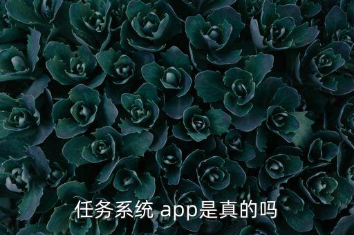 任務(wù)系統(tǒng) app是真的嗎