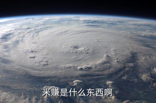 米賺是什么東西啊