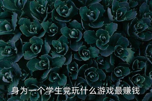 身為一個學(xué)生黨玩什么游戲最賺錢