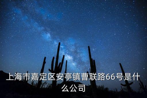 上海市嘉定區(qū)安亭鎮(zhèn)曹聯(lián)路66號(hào)是什么公司