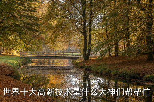 世界十大高新技術(shù)是什么大神們幫幫忙