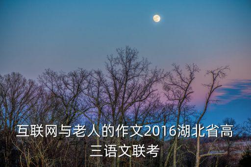 互聯(lián)網(wǎng)與老人的作文2016湖北省高三語(yǔ)文聯(lián)考