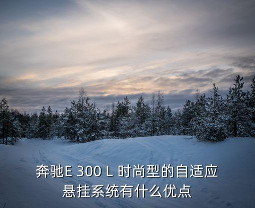 奔馳自動(dòng)駕駛輔助有什么功能，奔馳的AWTOHOZD事什么功能