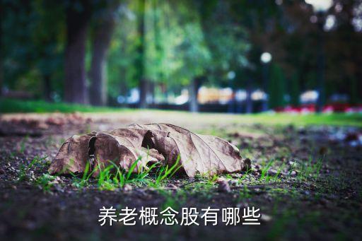 養(yǎng)老上市公司龍頭股十大排名，養(yǎng)老服務概念股有哪些上市公司