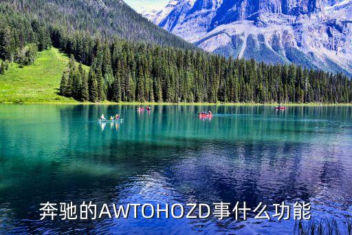 奔馳的AWTOHOZD事什么功能