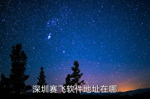 深圳賽飛軟件地址在哪