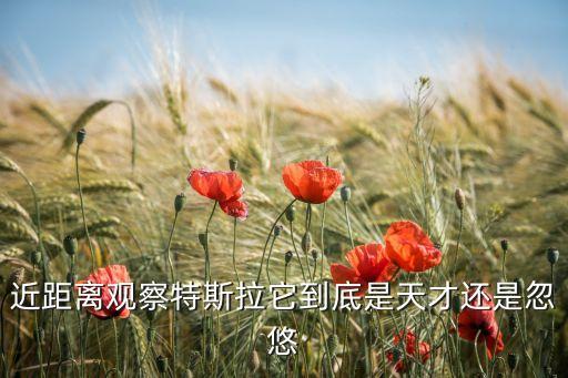 近距離觀察特斯拉它到底是天才還是忽悠