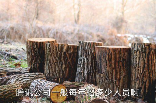 騰訊公司一般每年招多少人員啊