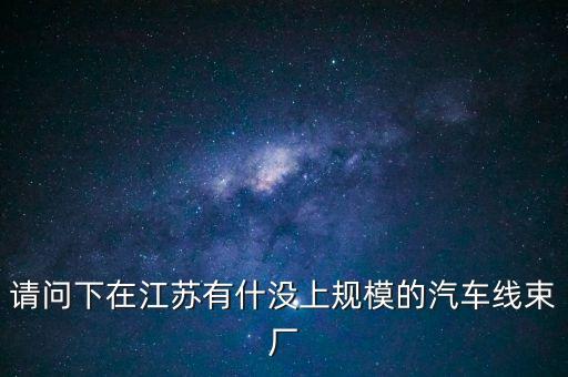 請問下在江蘇有什沒上規(guī)模的汽車線束廠