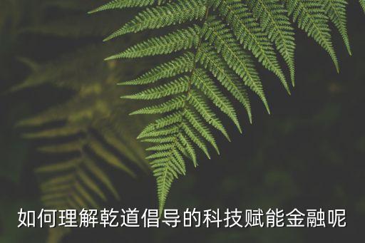 如何理解乾道倡導(dǎo)的科技賦能金融呢