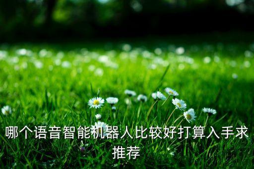 哪個(gè)語音智能機(jī)器人比較好打算入手求推薦