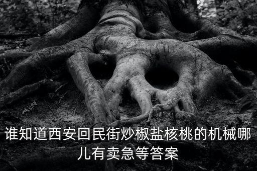 誰知道西安回民街炒椒鹽核桃的機械哪兒有賣急等答案