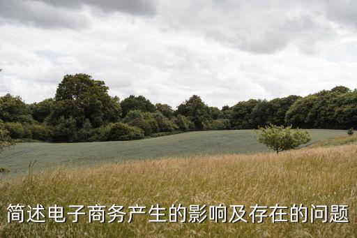 簡(jiǎn)述電子商務(wù)產(chǎn)生的影響及存在的問(wèn)題