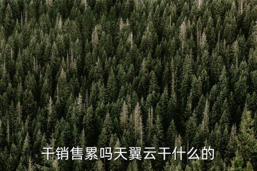 干銷售累嗎天翼云干什么的