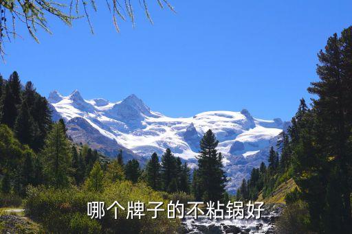 哪個牌子的不粘鍋好