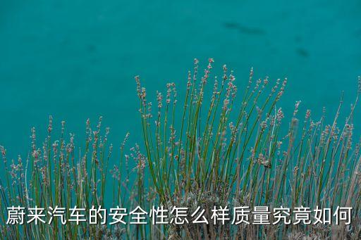 蔚來汽車的安全性怎么樣質(zhì)量究竟如何