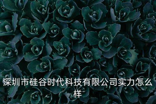 深圳市硅谷時代科技有限公司實力怎么樣