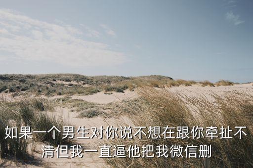 如果一個(gè)男生對(duì)你說(shuō)不想在跟你牽扯不清但我一直逼他把我微信刪