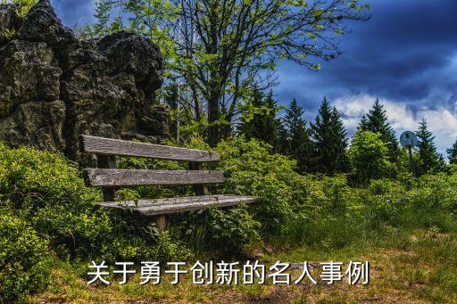 關(guān)于勇于創(chuàng)新的名人事例