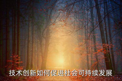 技術(shù)創(chuàng)新如何促進社會可持續(xù)發(fā)展