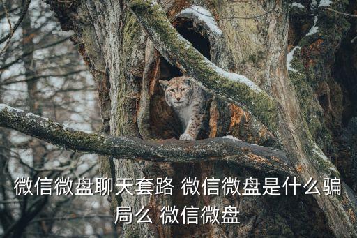 微信微盤聊天套路 微信微盤是什么騙局么 微信微盤