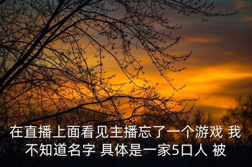 在直播上面看見主播忘了一個(gè)游戲 我不知道名字 具體是一家5口人 被