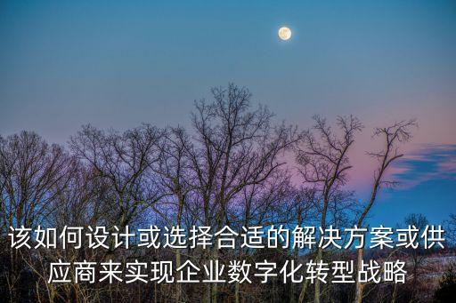 該如何設(shè)計(jì)或選擇合適的解決方案或供應(yīng)商來實(shí)現(xiàn)企業(yè)數(shù)字化轉(zhuǎn)型戰(zhàn)略