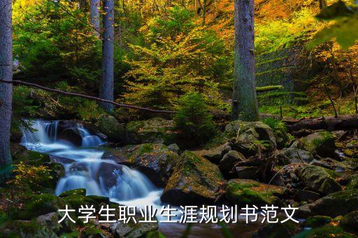 職業(yè)生涯規(guī)劃書1000字大學(xué)生，大學(xué)生涯規(guī)劃1000字