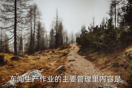 車間生產(chǎn)作業(yè)的主要管理里內(nèi)容是