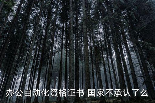 辦公自動(dòng)化資格證書 國(guó)家不承認(rèn)了么