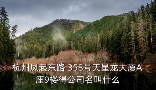 杭州鳳起東路 358號(hào)天星龍大廈A座9樓得公司名叫什么