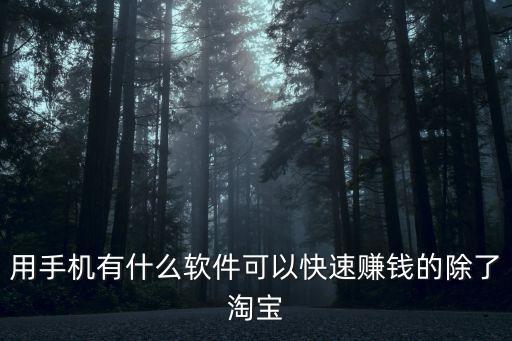 賺錢最快的極速版app，手機(jī)有什么軟件最快賺錢