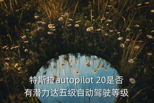 特斯拉autopilot 20是否有潛力達(dá)五級(jí)自動(dòng)駕駛等級(jí)