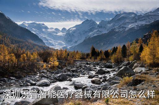 深圳樂普智能醫(yī)療器械有限公司怎么樣