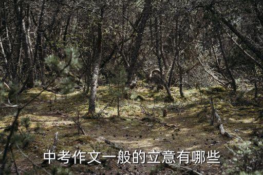 中考作文一般的立意有哪些