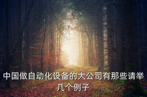 中國做自動化設(shè)備的大公司有那些請舉幾個(gè)例子