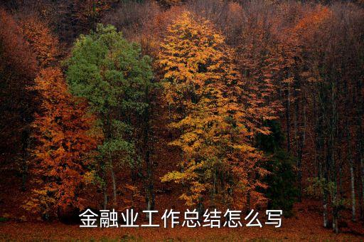 金融業(yè)工作總結怎么寫