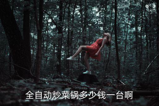 全自動炒菜鍋多少錢一臺啊