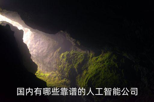中國人工智能最好的公司，國內(nèi)有哪些做得不錯(cuò)的人工智能企業(yè)