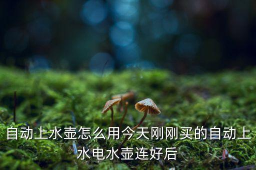 自動上水壺怎么用今天剛剛買的自動上水電水壺連好后