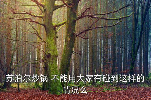 蘇泊爾炒鍋 不能用大家有碰到這樣的情況么
